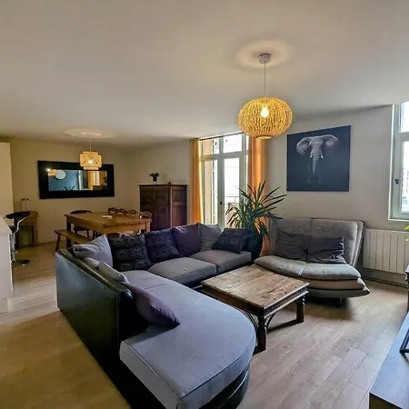 Apartment Bel En Rue Pietonne Roanne